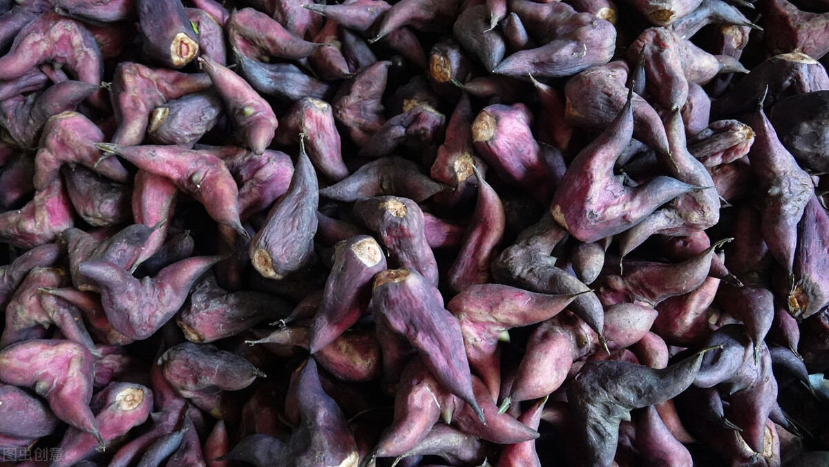 小菱角和大菱角的区别,关于菱角的阅读