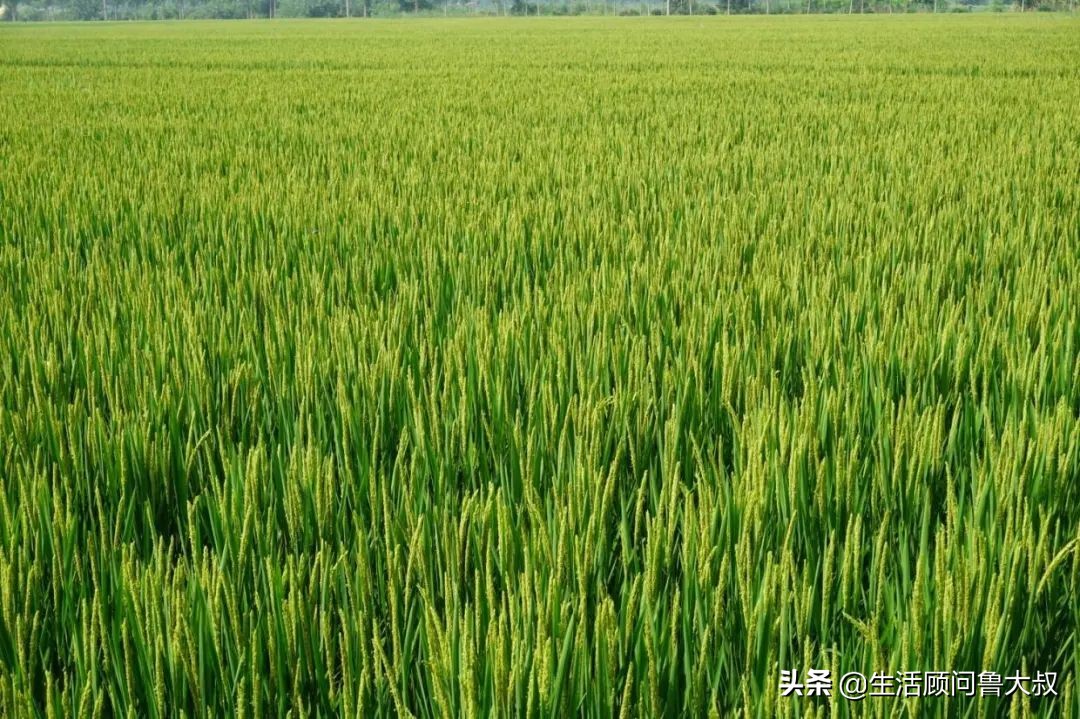 天津文化自然遗产,天津市物质文化遗产名单