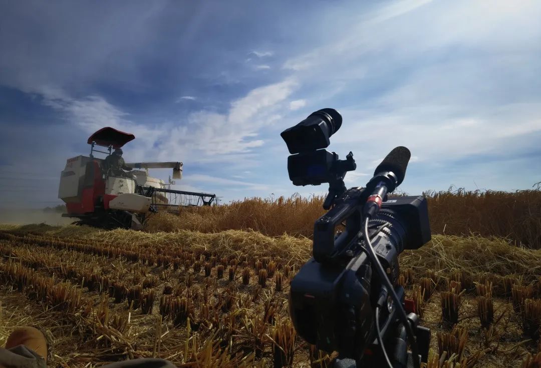 编导手记|勃利：厚积薄发东北大地焕新颜——吕明月