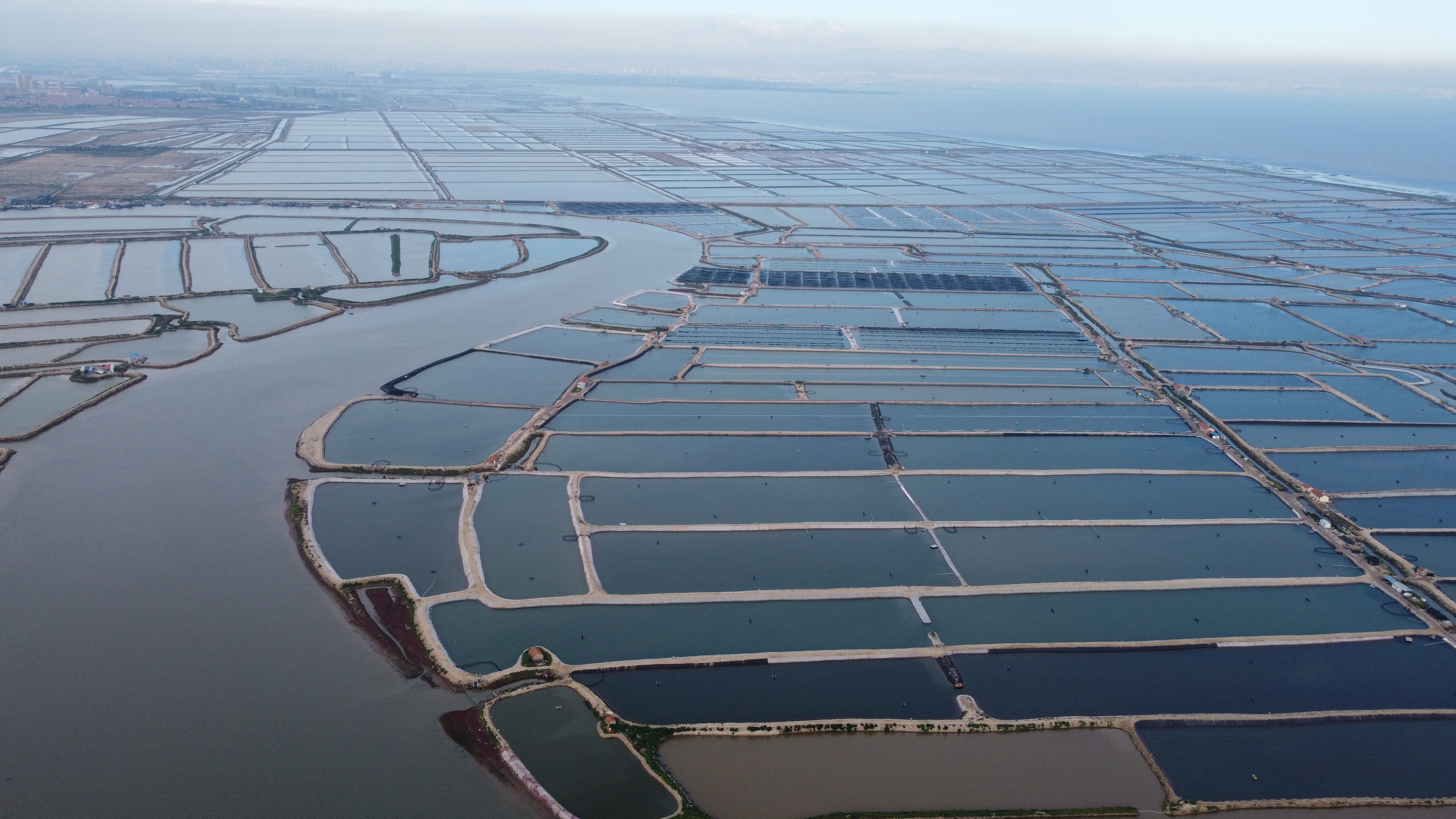 这个码头，99%的青岛人没来过！