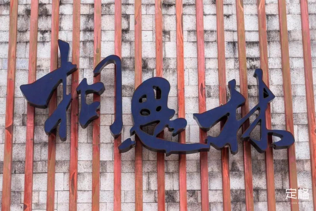 深圳免费露营的公园推荐,深圳22个露营公园