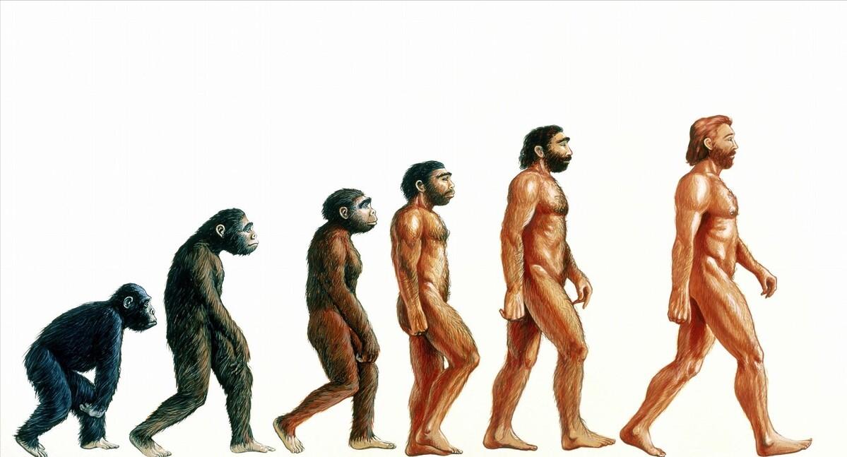 人类褪去周身毛发，为什么仅存头发、腋毛、阴毛？这是个谜