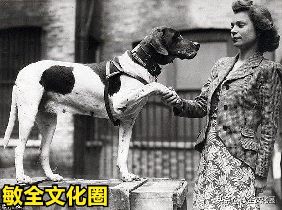 以后，我们一起去遛机器狗，相亲交友！