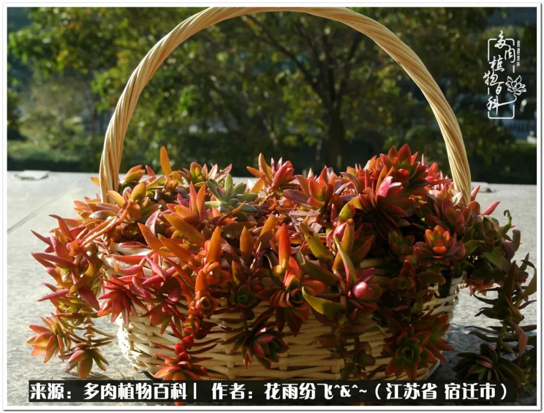 快乐的童年时光视频,回味快乐的童年美好的时光