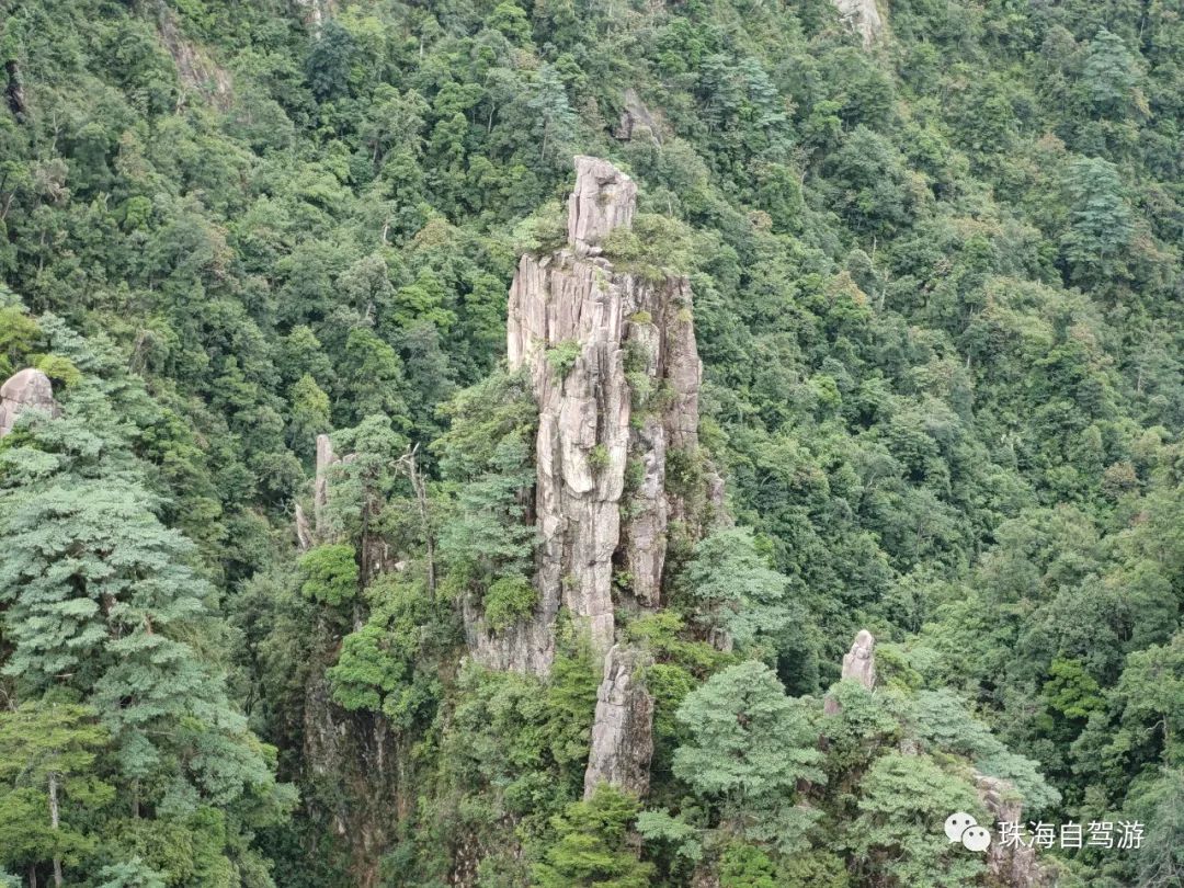莽山五指峰景区,蟒山国家森林公园旅游攻略