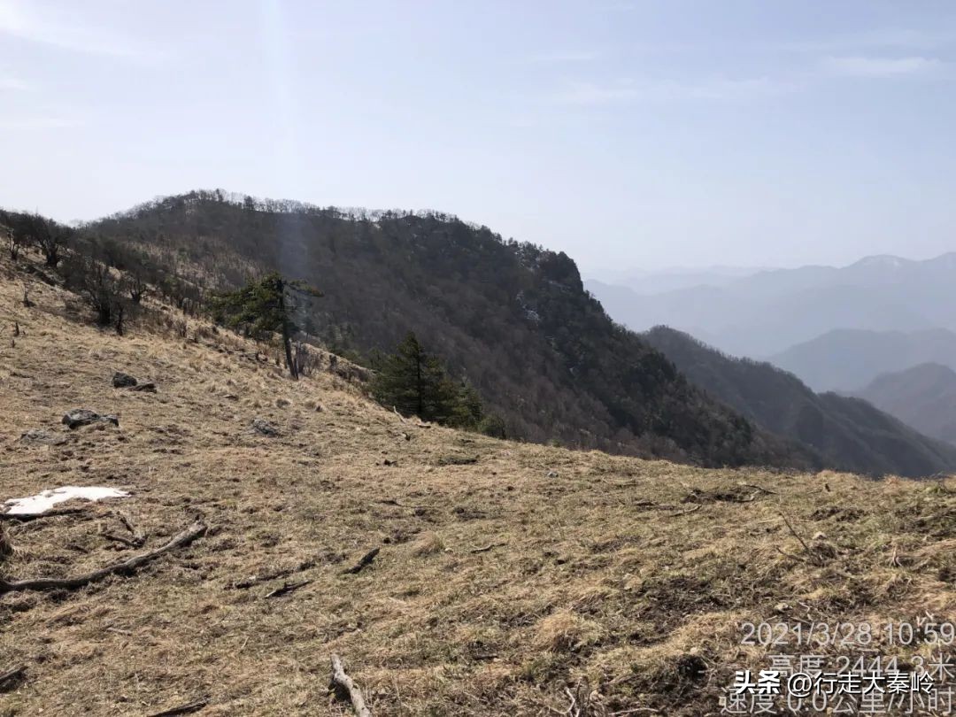 首阳山穿越大坪梁景色怎么样,大坪梁穿越到首阳山攻略