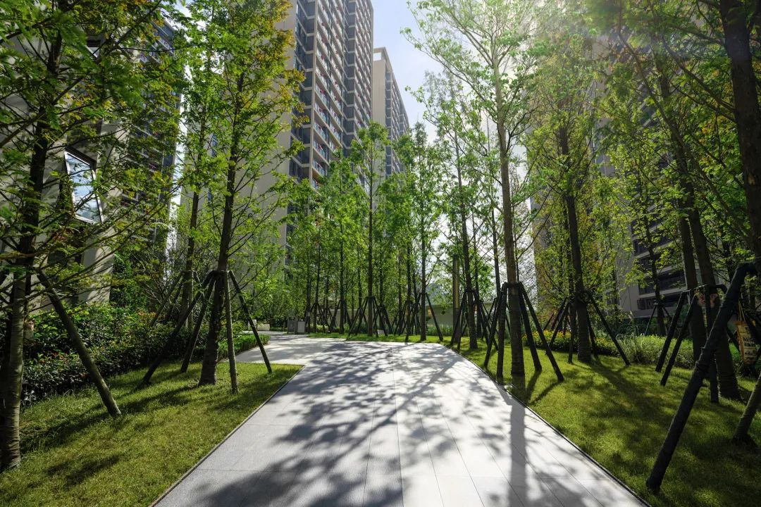 贵阳中海映山湖有天然湖吗,贵阳中海映山湖观景观