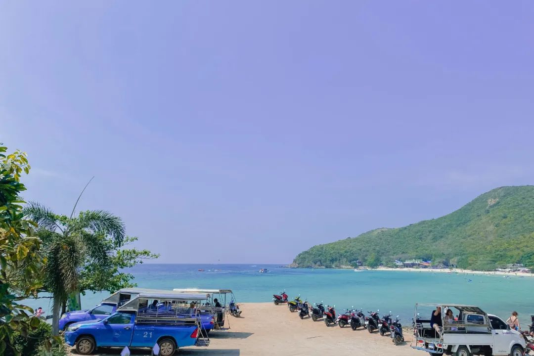 鍘绘嘲鍥芥浖璋峰拰鑺彁闆呯殑鏀荤暐,鍘绘嘲鍥界帺杞浖璋疯姯鎻愰泤