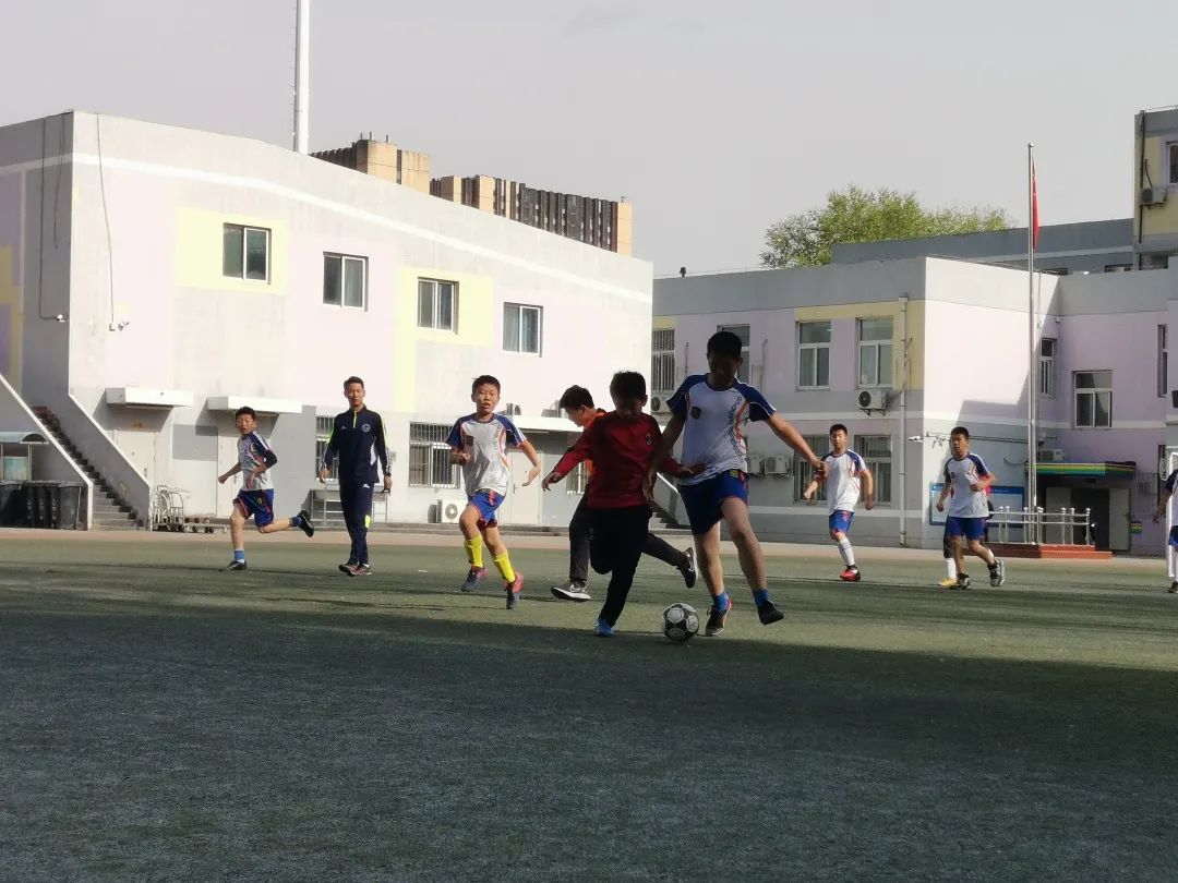 枣园完小运动会,枣园小学生运动会