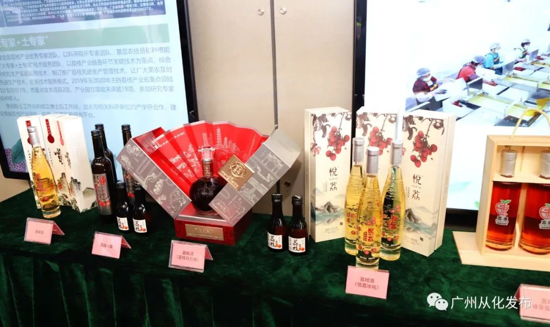 广州从化荔枝节,从化荔枝节什么时候开始举行