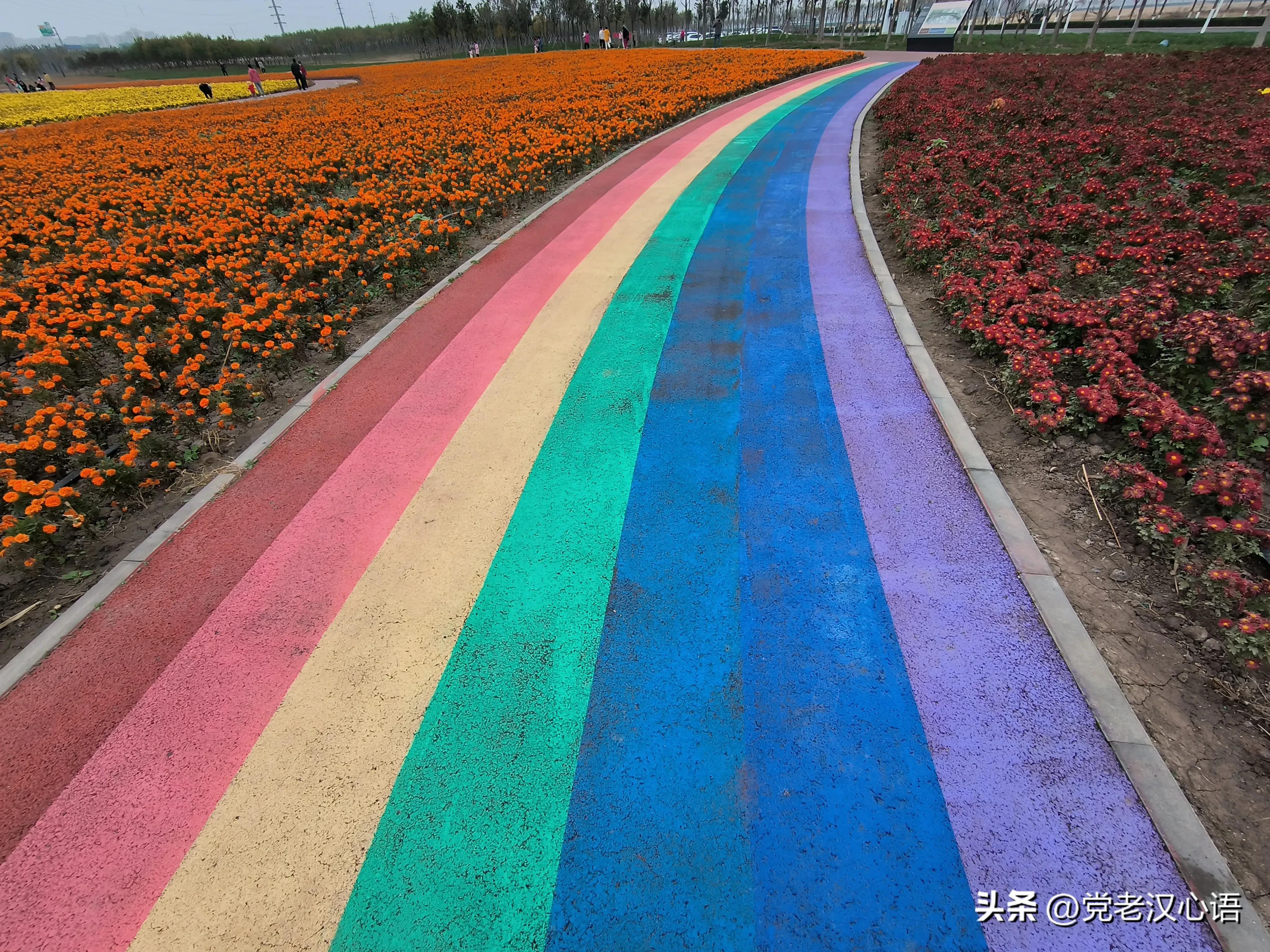 60后两对夫妻全国自驾游,夫妻自驾游路线推荐3-4天