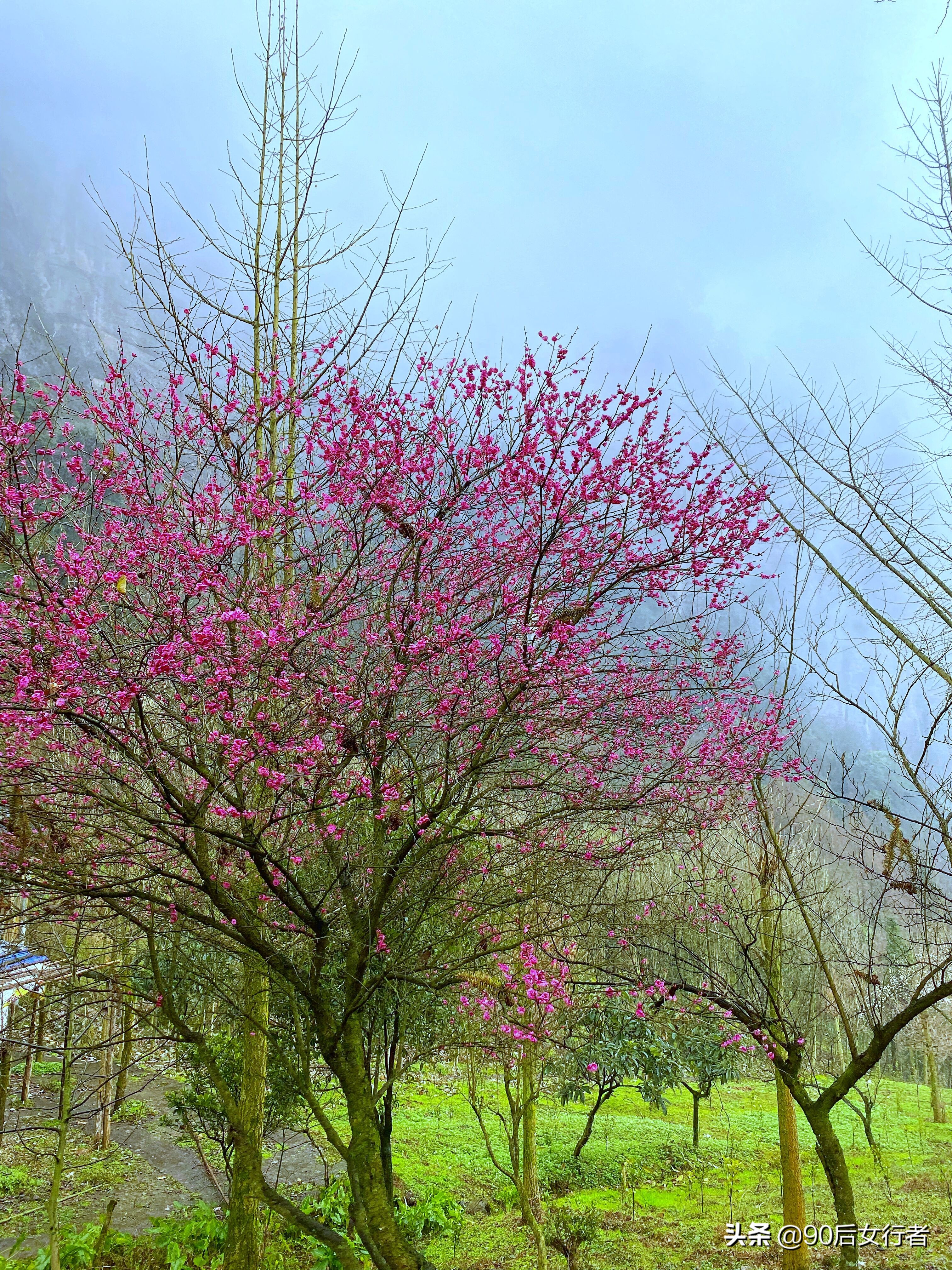 下雨天去拜访师傅合适吗,雨天去青城山