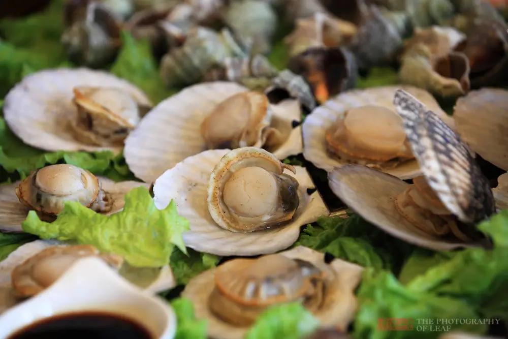 吃海鲜便宜的海边城市,国内哪个城市吃海鲜最好