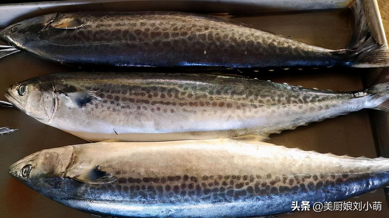 冬天吃鱼的好处三种鱼不要多吃,秋冬吃什么鱼最好