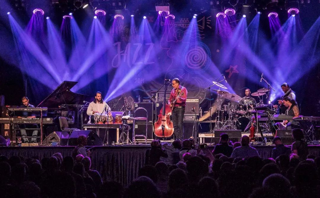 波兰人那些事｜为什么要去森林听爵士乐？