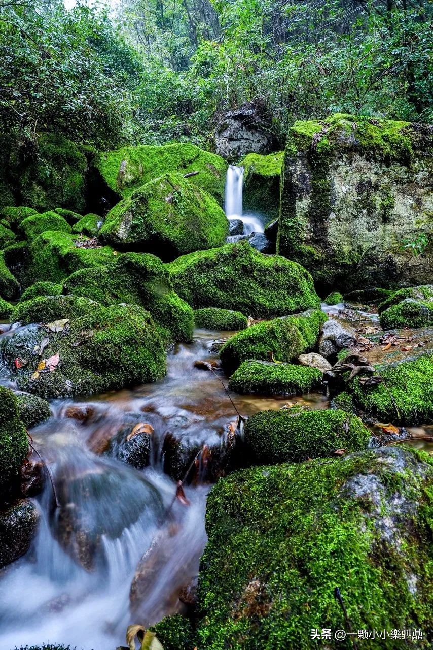 秦岭红河谷可以露营吗,秦岭红河谷之谜