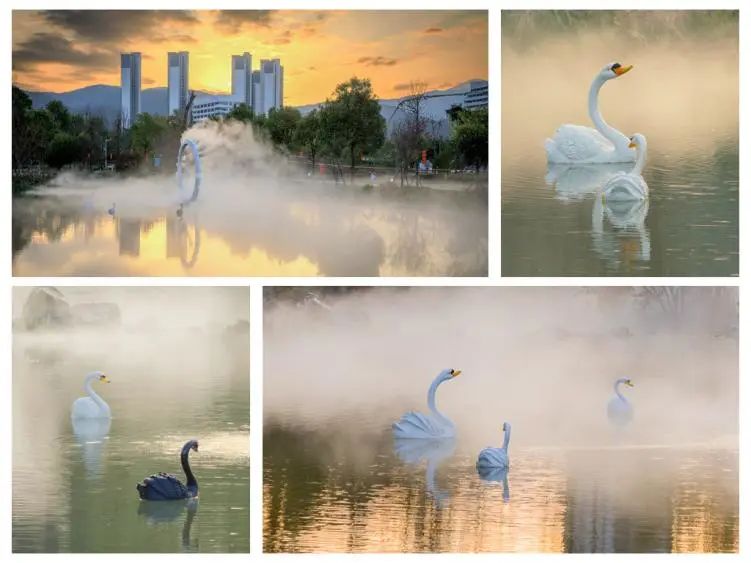 定格美好瞬间校园摄影大赛,2021年定格最美瞬间摄影大赛