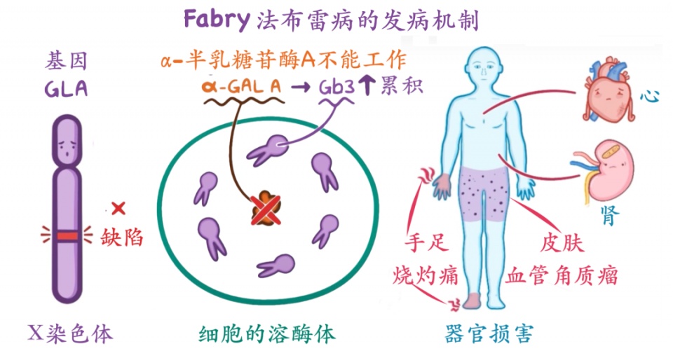 南大一附院神经内科,南大一附院神经内科怎么样