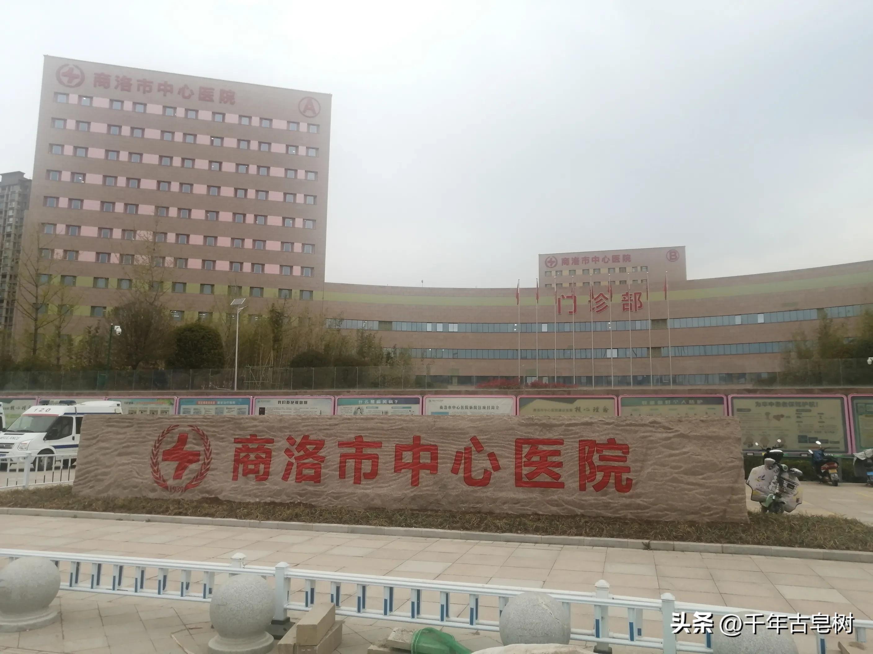 桃花在春雨中含笑翠竹在微风中舞蹈（腰市：李增强）