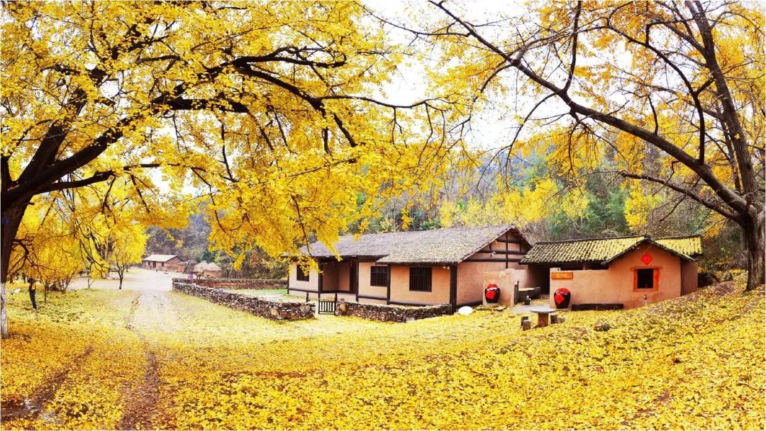 词说荆楚丨一见钟情是随州