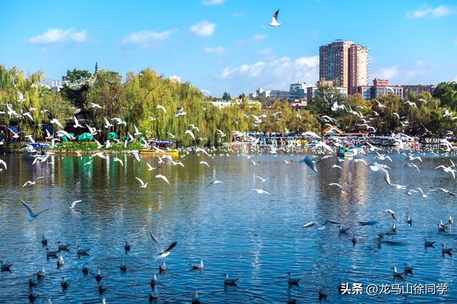 昆明著名景点推荐,昆明旅游景点