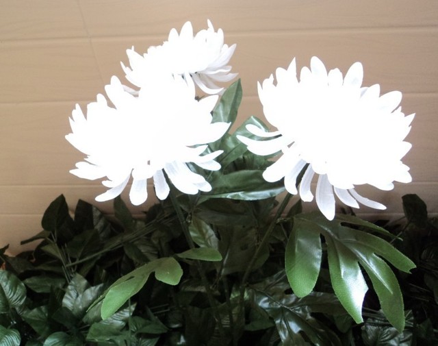 怀念已故大姐,怀念大姐的歌曲完整版