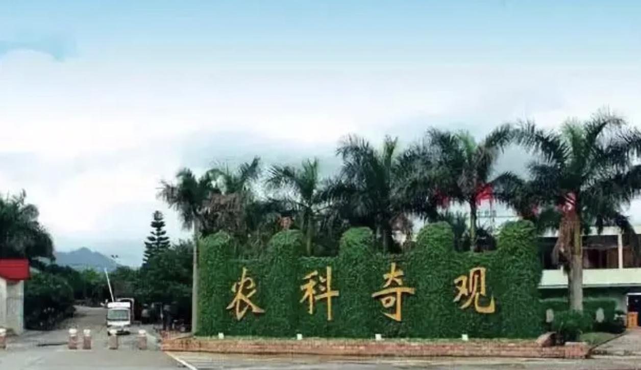 广东珠海:百岛之市、浪漫之城,有着房价气质和不匹配的工资