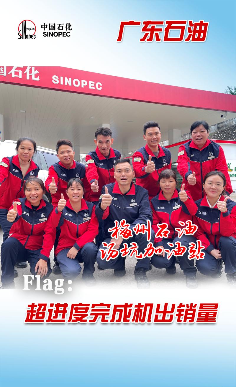 中国石化企业的现状,中国石化国内最新项目