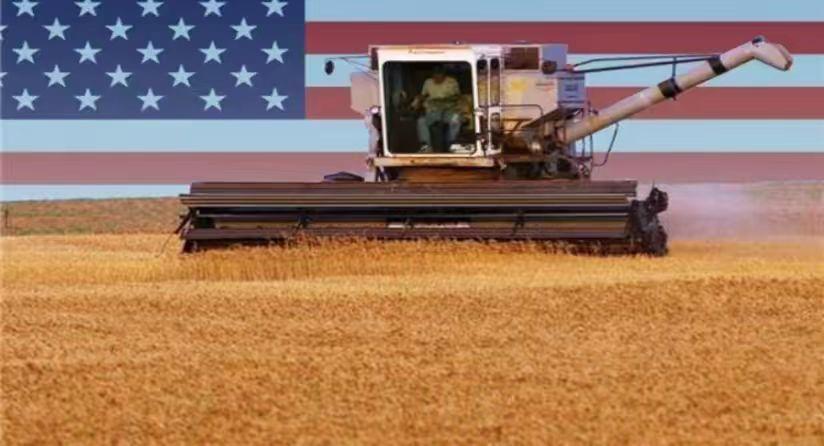 美国控制全球粮食价格的原因,美国控制粮食价格吗