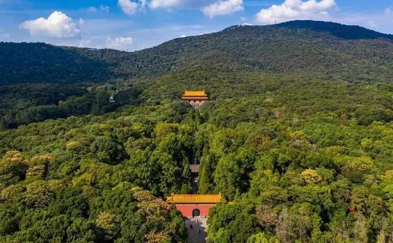 12月南京有哪些免费景点,南京市民免费旅游景点