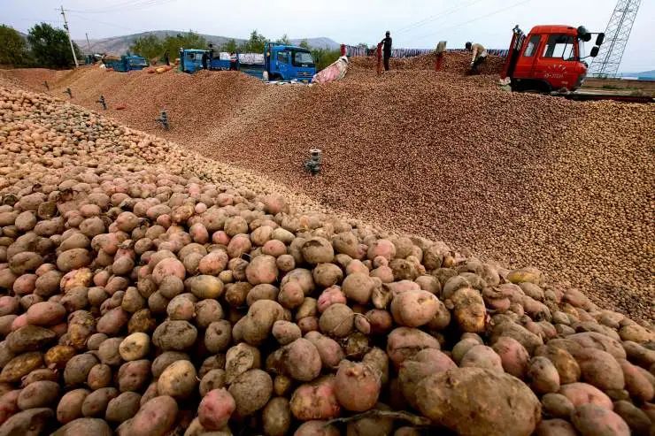 甘肃省各市颜值排名,甘肃省各市照片