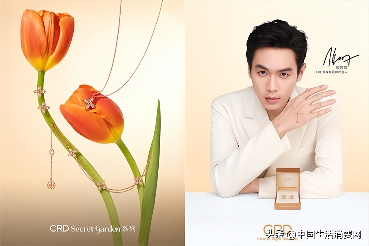 crd克徕帝代言人张若昀,crd克徕帝张若昀活动