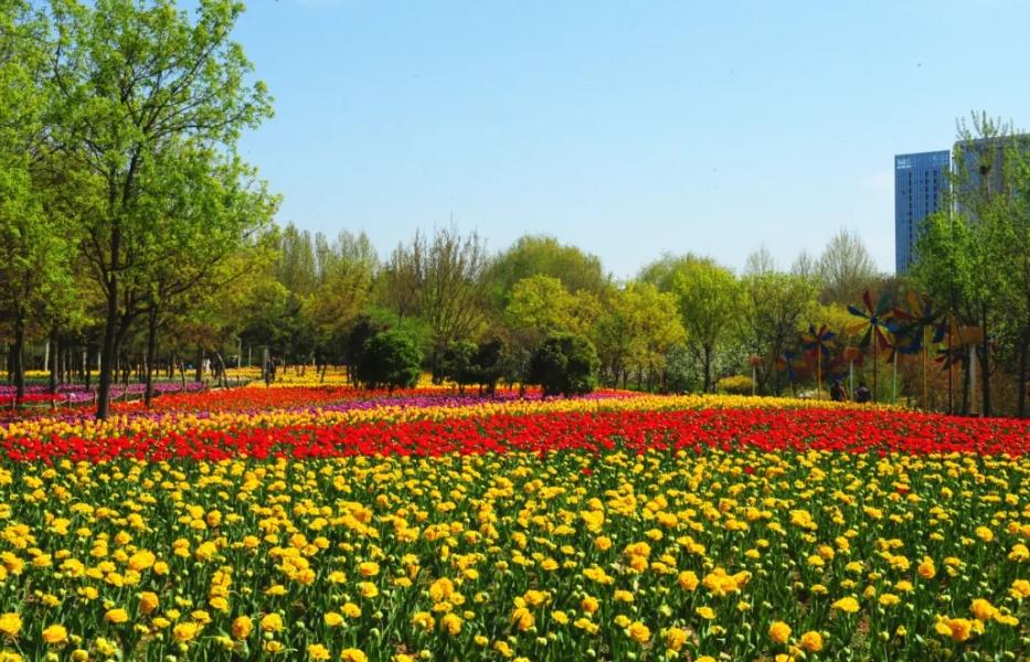 郑州春天去哪里旅游,郑州周边适合春天去的地方