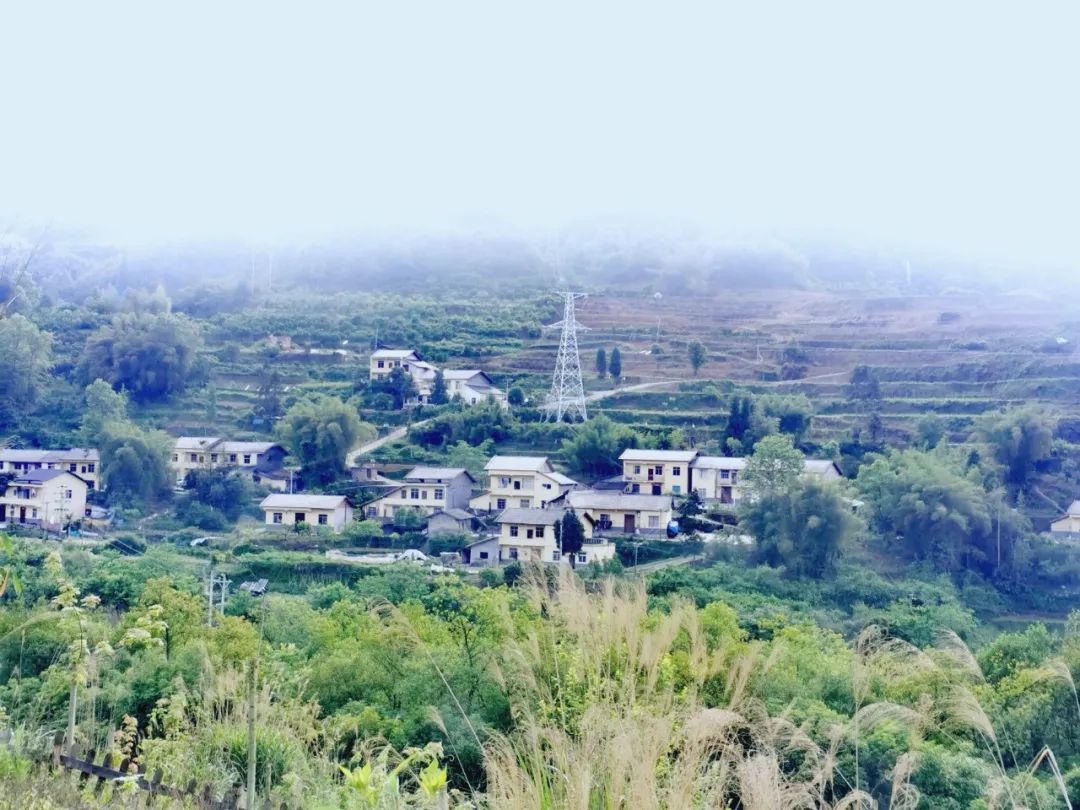 重庆万盛生态游攻略,重庆万盛旅游现状