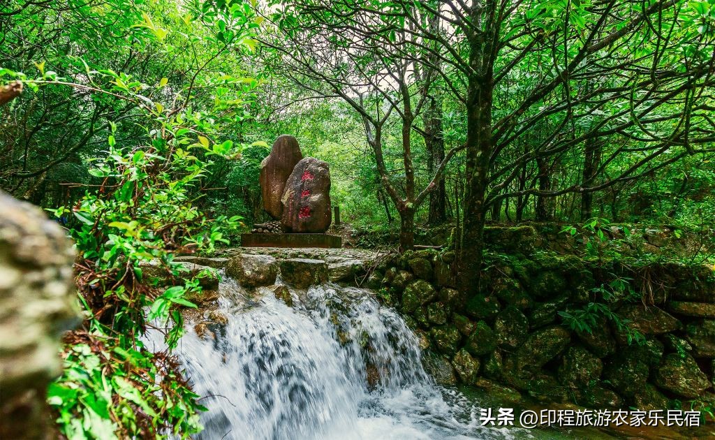 浙江安吉避暑哪里最好,夏天浙江避暑最佳旅游地