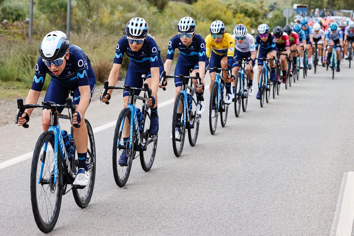 公路自行车女骑手推荐,自行车女骑手排名前十名