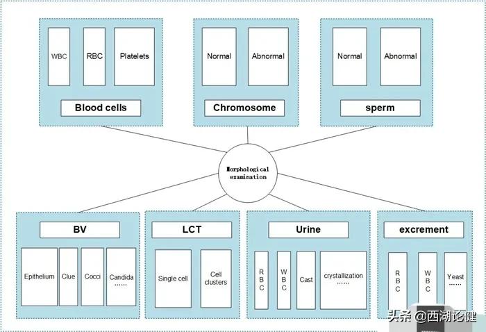 健澜科技：人工智能助力检验医学发展，AI在医疗检验领域大放异彩