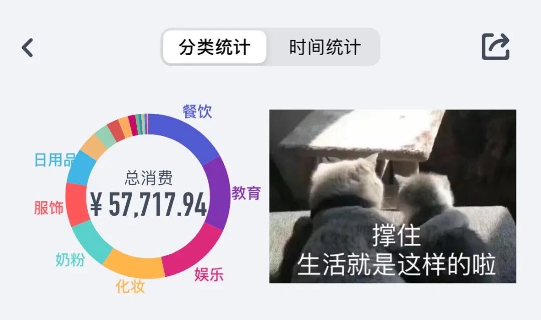 2022年记账复盘，支出5.7W，都花到这里了