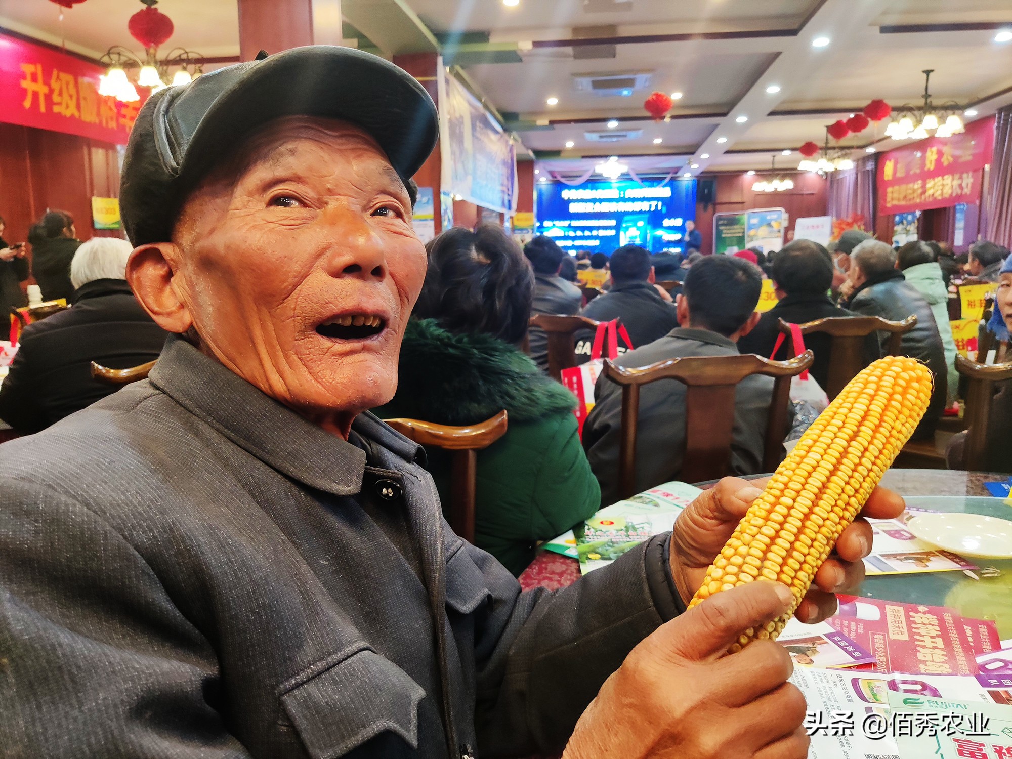 农资店玉米品种介绍,2023年抗锈病玉米种排名列表