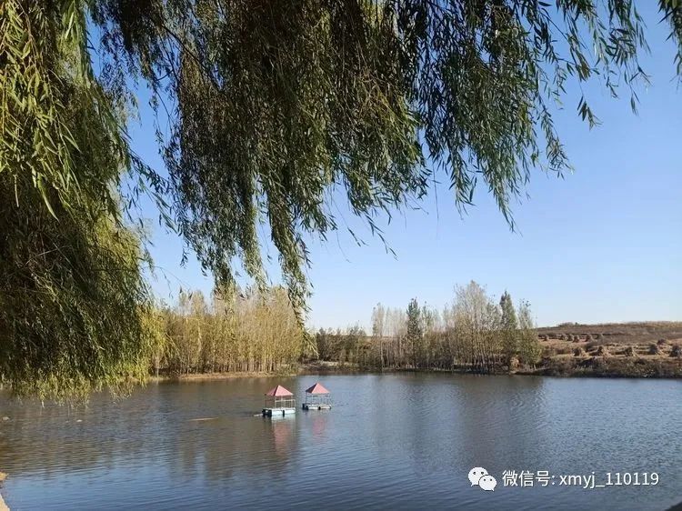 水库养鱼买苗,水库养鱼苗