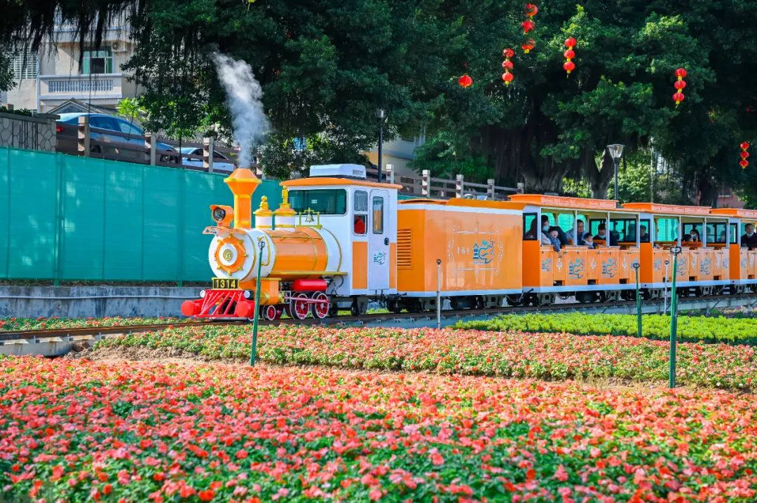 徒步大会、烟花秀、三转文塔…三水区闹元宵活动攻略→