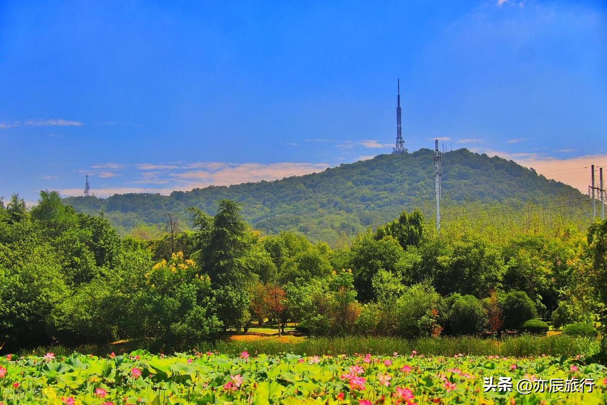 安徽江西适合小孩玩的旅游景点,浙江安徽山东周边旅游景点推荐