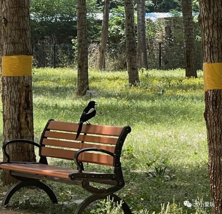 滨河公园带娃玩水,推荐一个好地方滨河公园