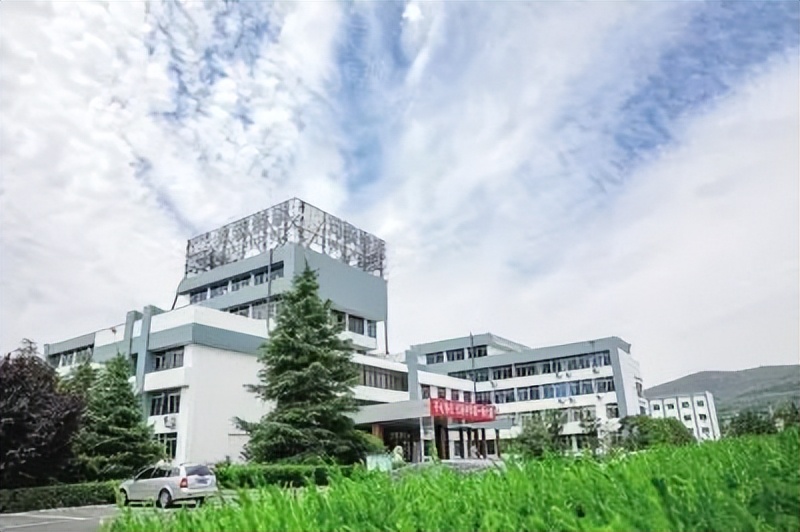 舞钢钢铁公司年产量,舞钢市特钢