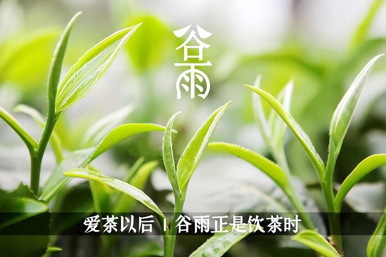 关于节气的诗并进行赏析,谷雨节气古诗词欣赏