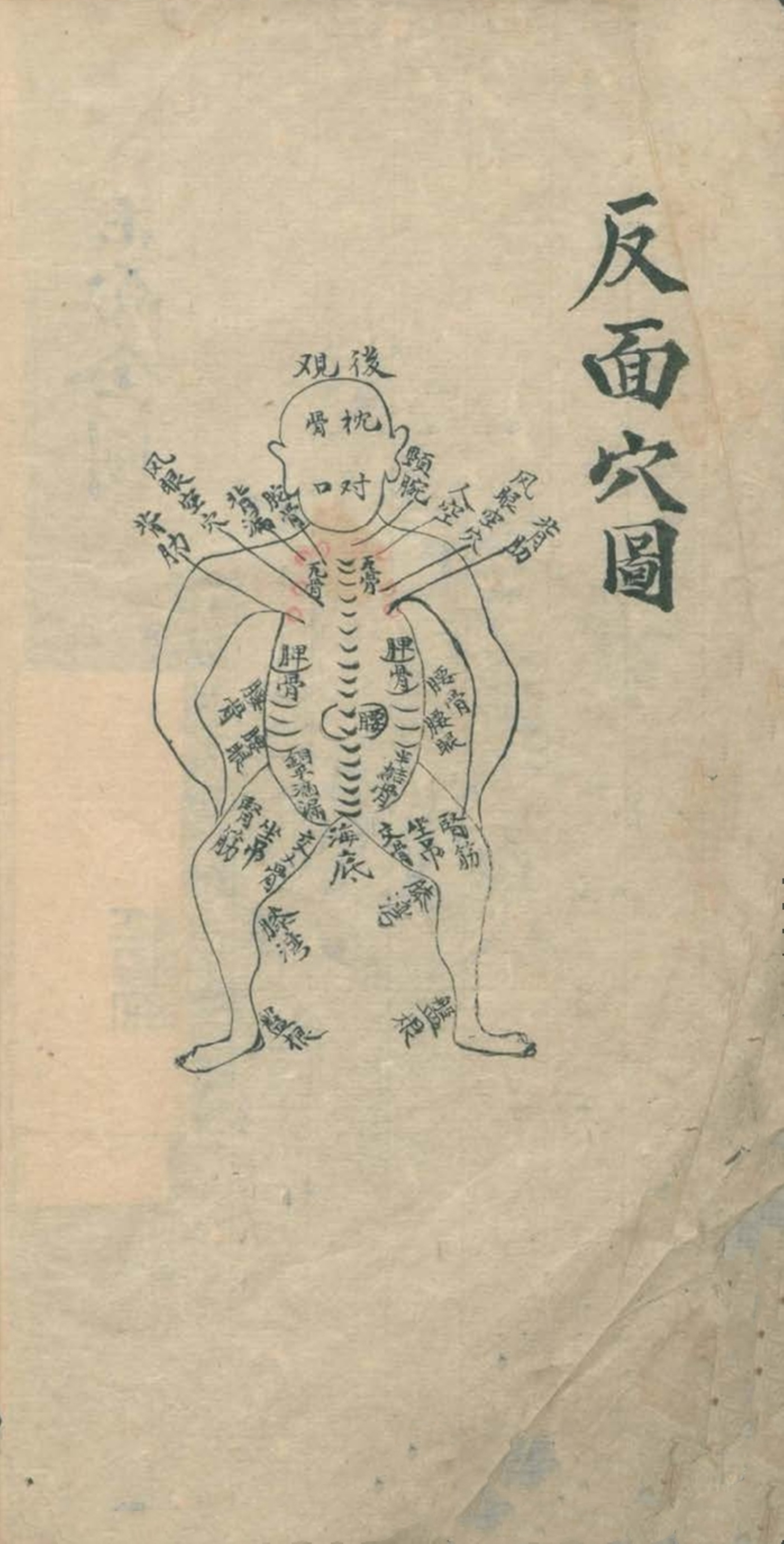 最实用的跌打药方,祖传跌打秘方100首