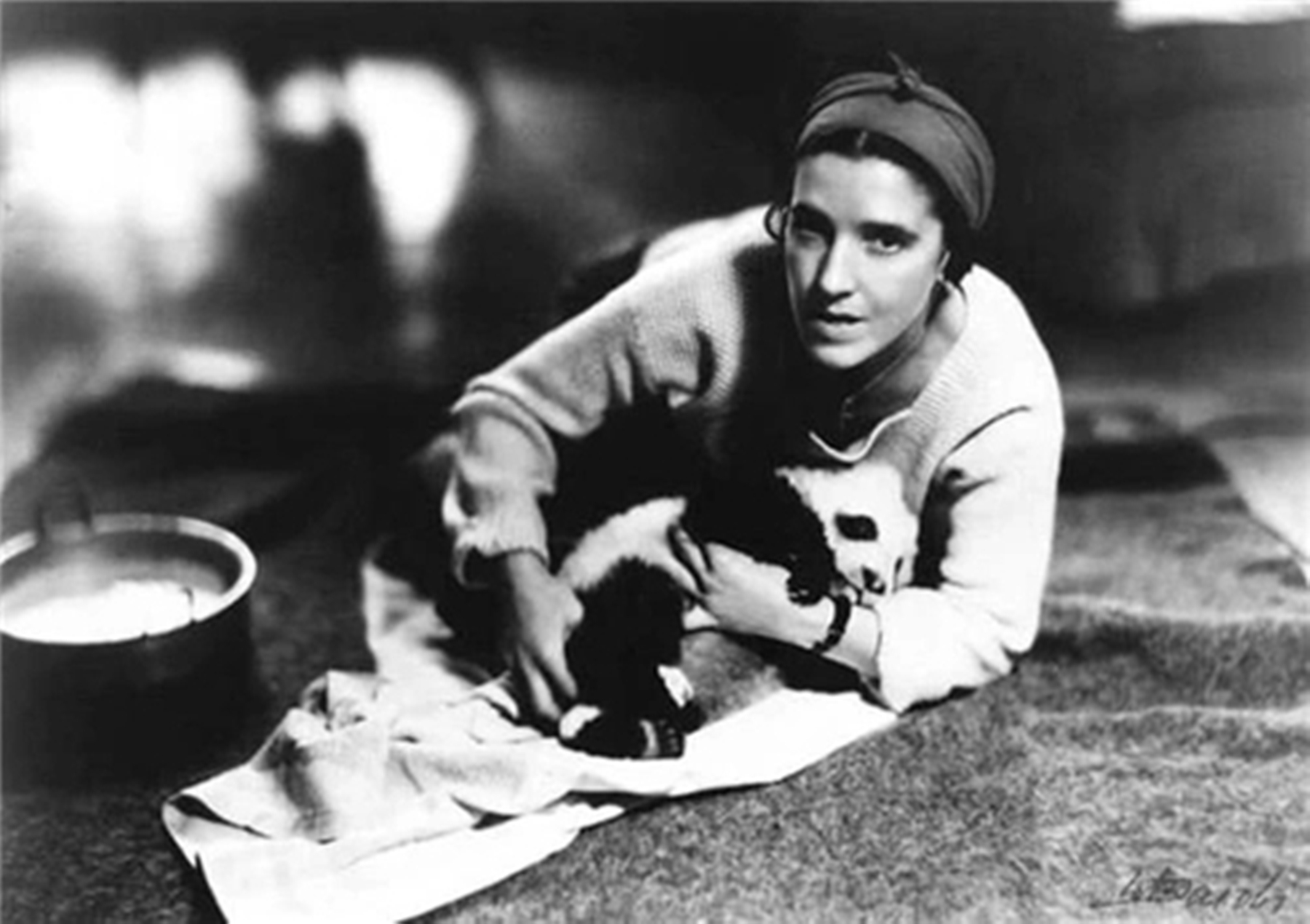 1937年大熊猫被外国人偷走,1939年被伦敦偷走的大熊猫