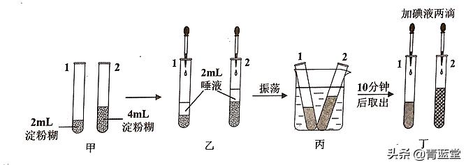 2021年江苏省苏州市初中生物结业考试