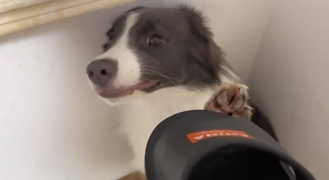 电动车座莫名“遇难”，看到凶手立刻懂了！谢谢你没把车全拆了