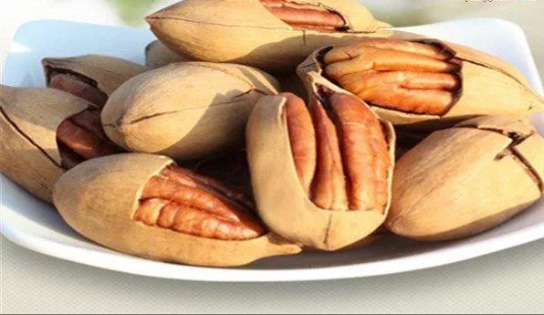 碧根果果实能结多少年,开心果碧根果是什么树的果实